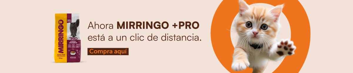 Compra Mirringo en mizooco